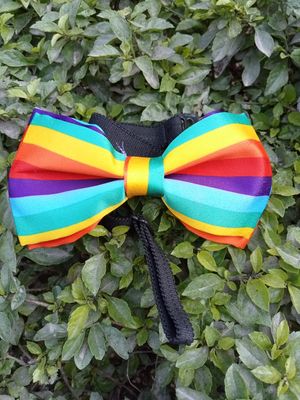 Rainbow Bow-Tie